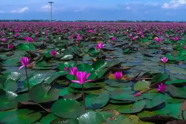 Classic-Kerala-Honeymoon