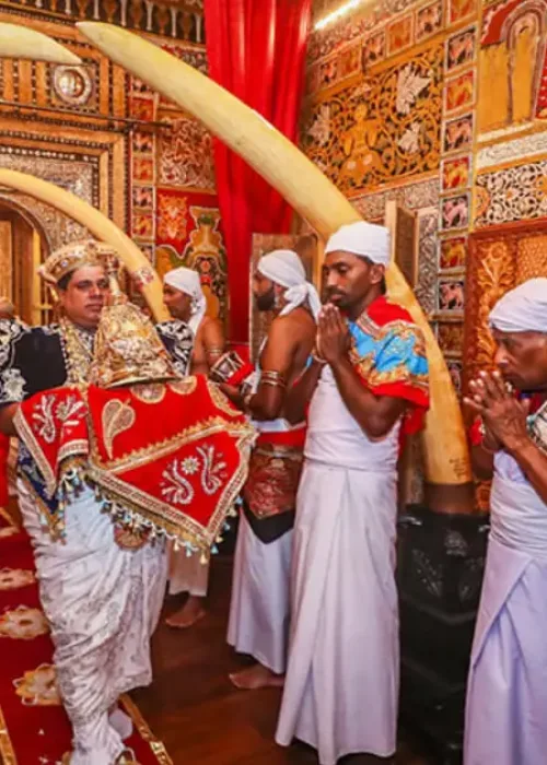 Kandy-Esala-Perahera 2