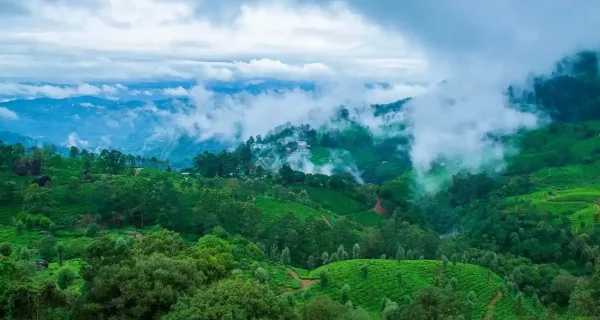 Kerala-A-Tropical-Paradise-1
