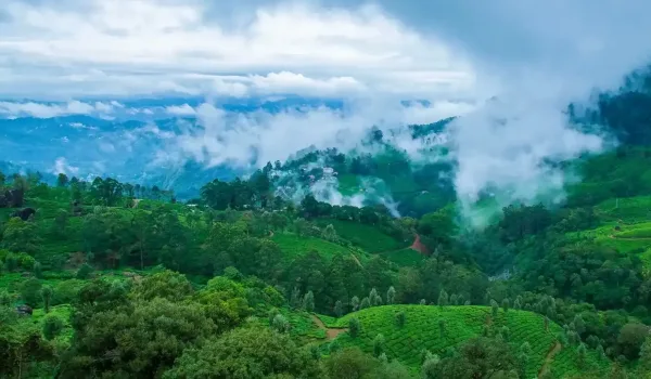 Kerala-A-Tropical-Paradise-1