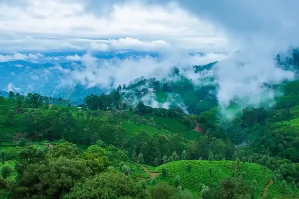 Tour di gruppo organizzato Meraviglie del Sud India Special Capodanno 2026 - INDEOR One Kerala-A-Tropical-Paradise-1