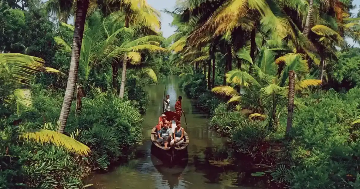 Captivating Kerala