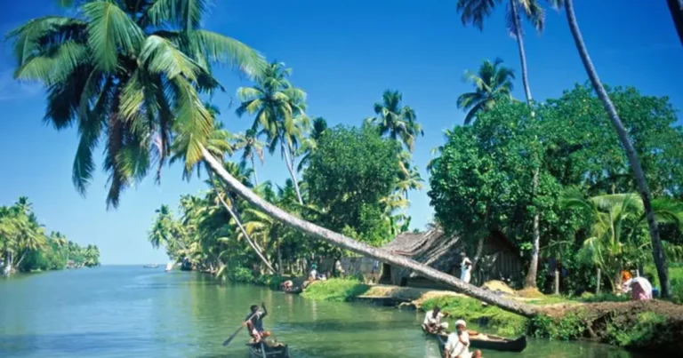 Essential Kerala Experience