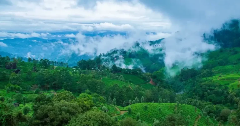 Kerala-A-Tropical-Paradise-1