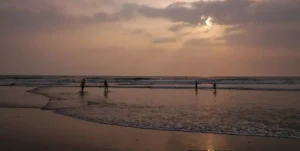 Kerala A Tropical Paradise 2