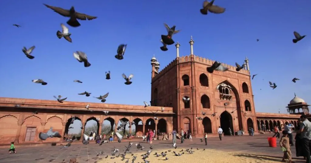 Golden Triangle: Highlights of Delhi, Agra & Jaipur