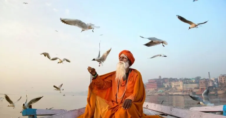 Heritage & Wilderness The Grand Tour of India