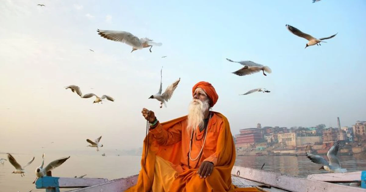 Heritage & Wilderness: The Grand Tour of India