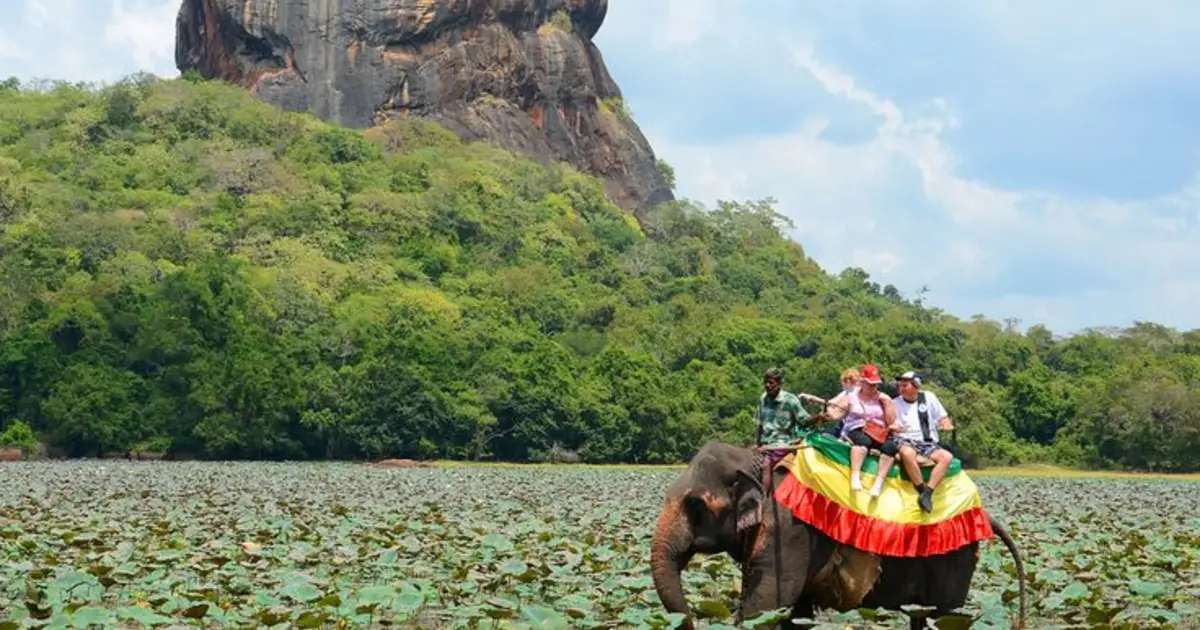 Sri Lanka Wild Exploration: Premium Edition