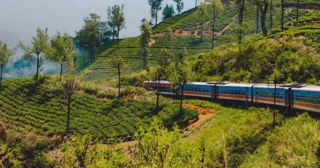 Treasures of Sri Lanka