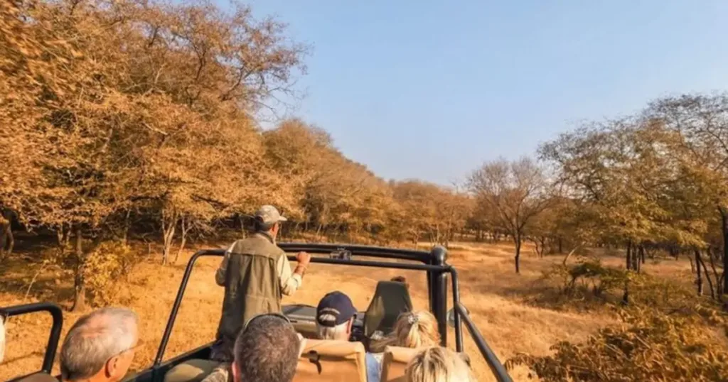 Wild India Golden Triangle & Ranthambore