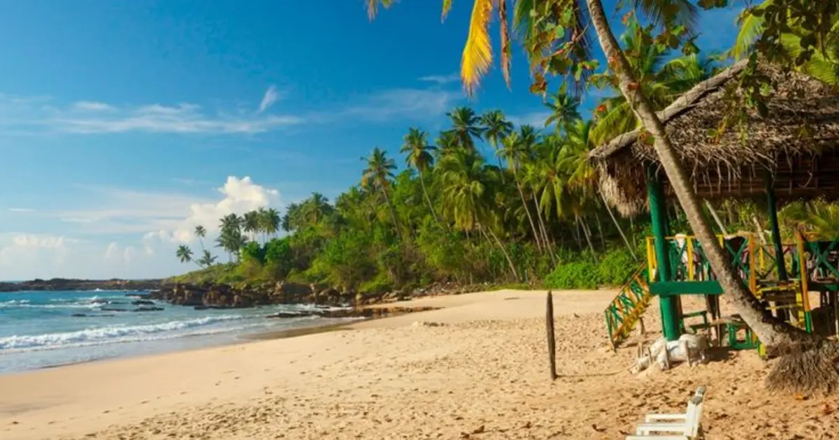 Southbound Serenity: Sri Lanka’s Coastal Escape