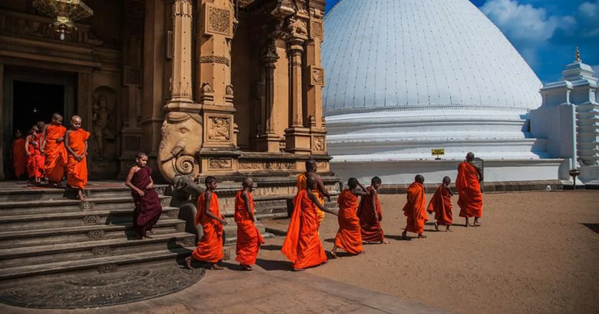 Sri Lanka Discovery: Culture, Coast & Safari