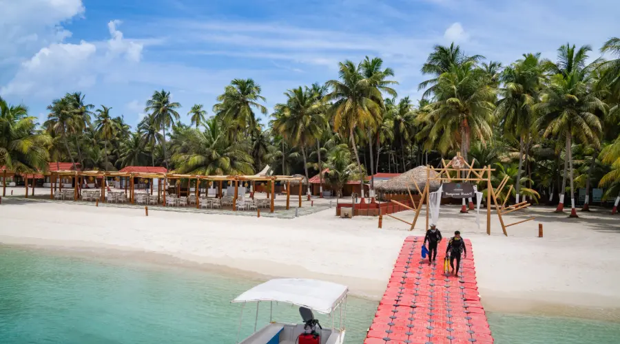 laccadive 8