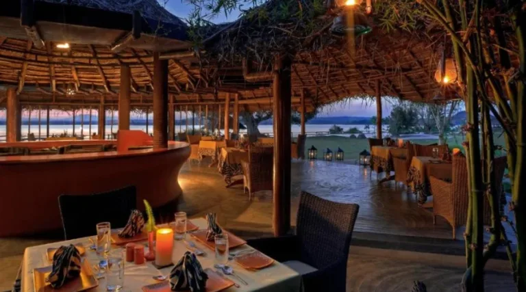 Evolve Back, Kabini (14)
