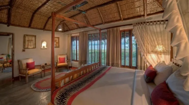 Evolve Back, Kabini (16)