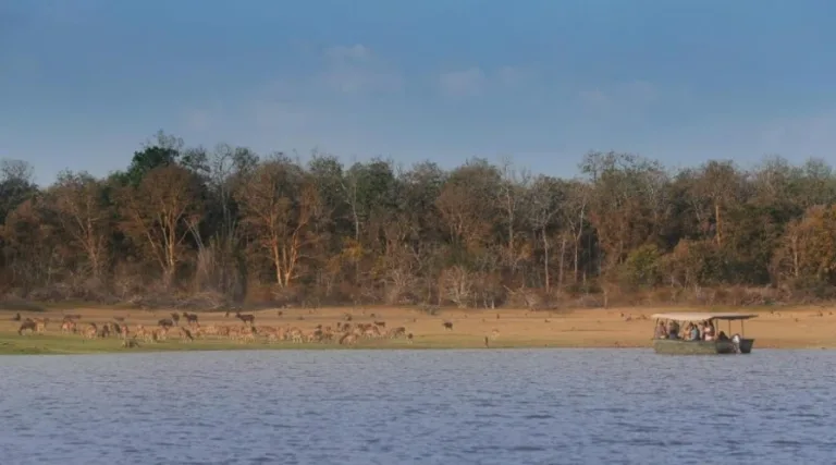 Evolve Back, Kabini (2)