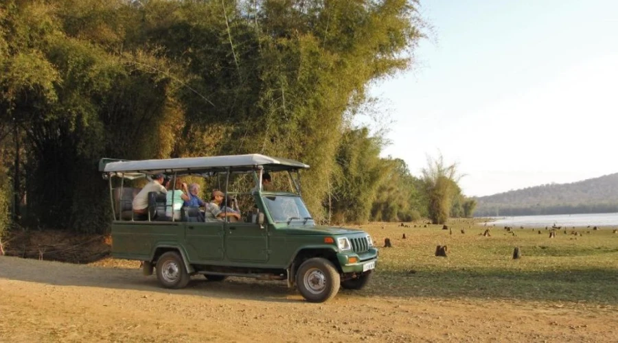 Evolve Back Kabini 5