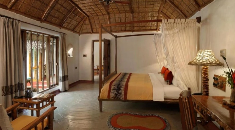 Evolve Back, Kabini (6)