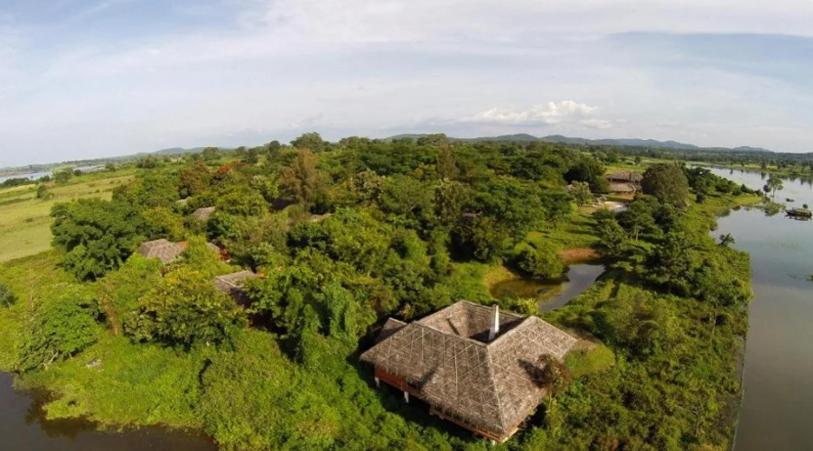 Evolve Back, Kabini (9)