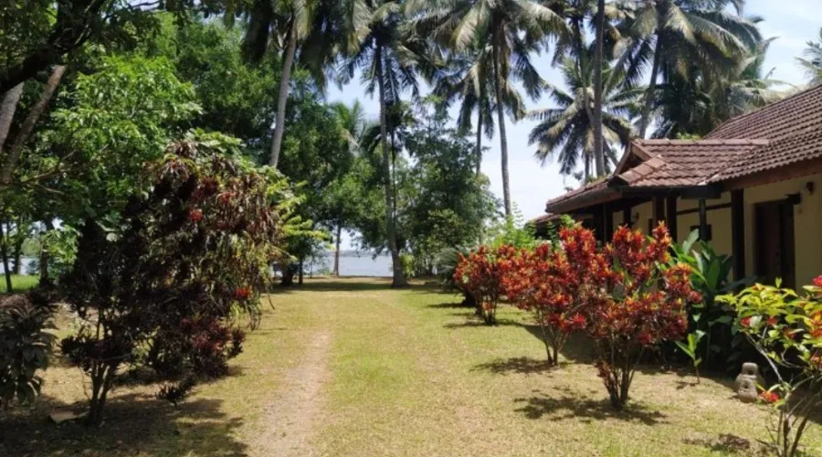 Gramam, kochi (1)
