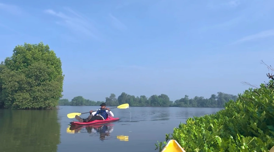 Guided Kayak Exploration of Kadamakkudy Islands