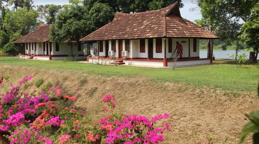 Philipkutty's Farm (5)