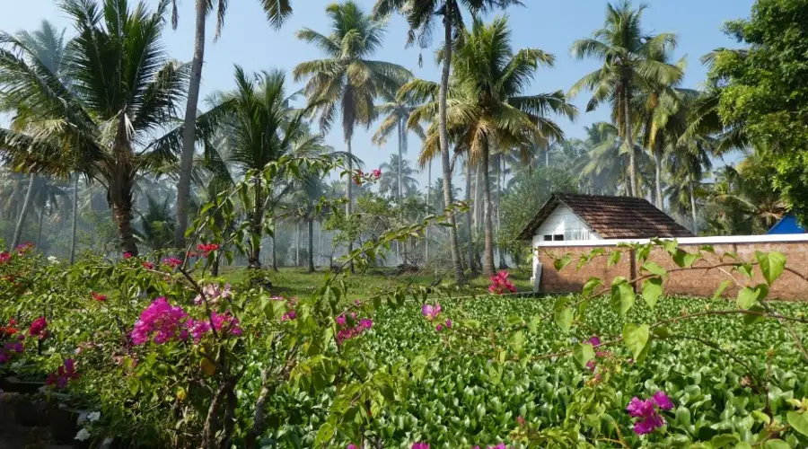 Philipkuttys Farm 9