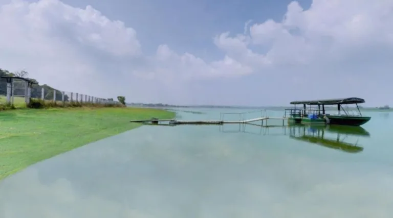 Sandesh Water Edge, Kabini (1)