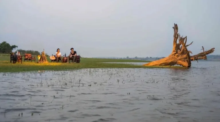 The Serai, Kabini (4)