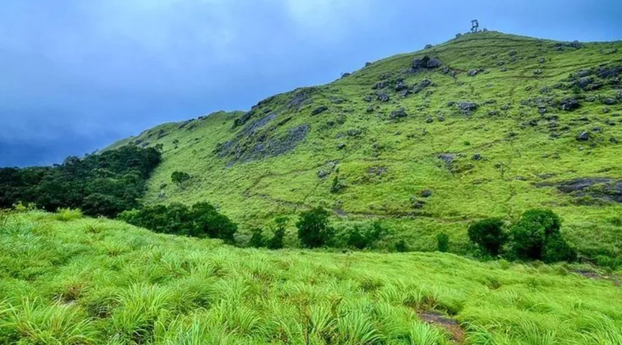 Ponmudi Hills 1
