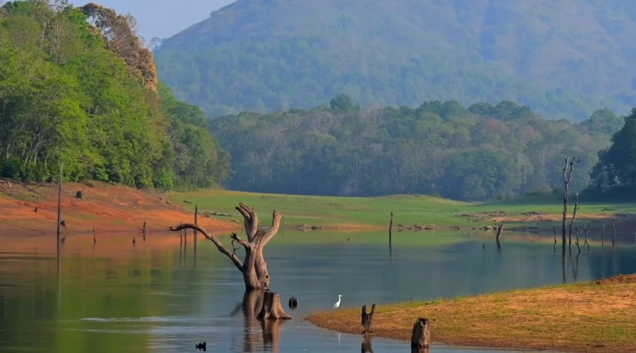 Private Full-Day Wilderness Trail Experience in Thekkady