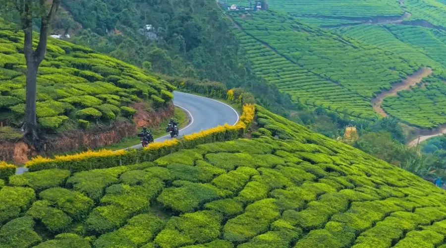 Vattavada Munnar route