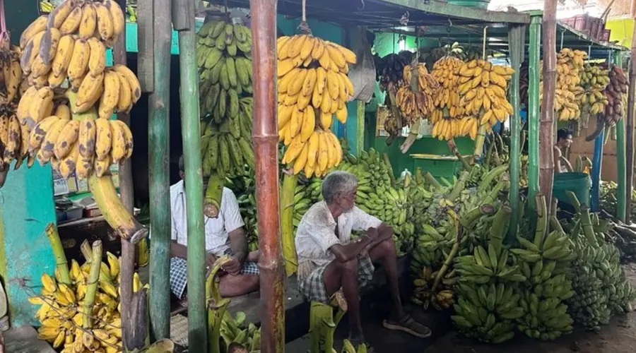 Madurai Banana market