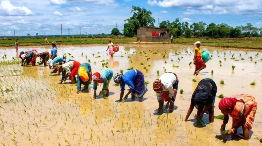 Tamil Nadu Farmers