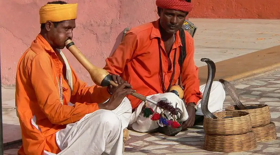 Jaipur snake charmers
