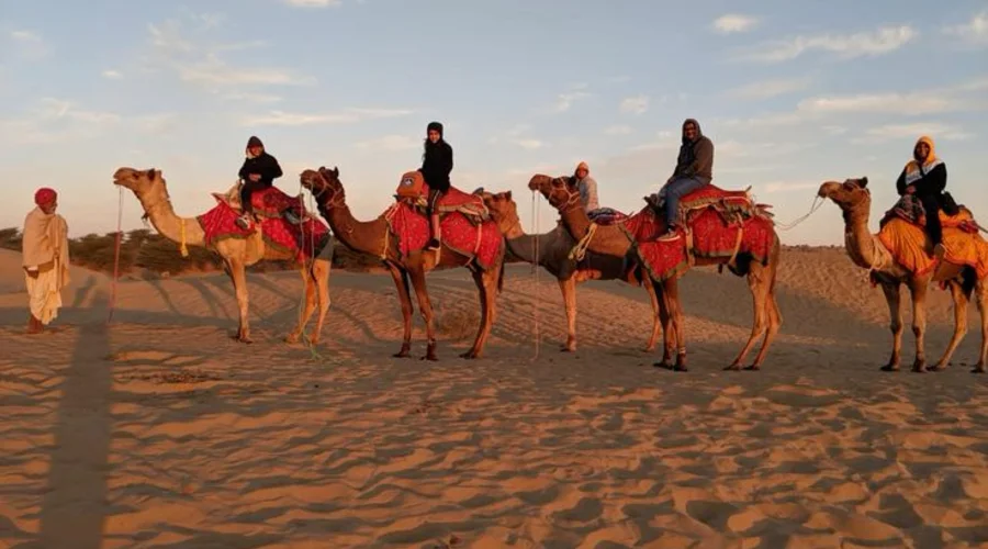 Pushkar Camel Safari